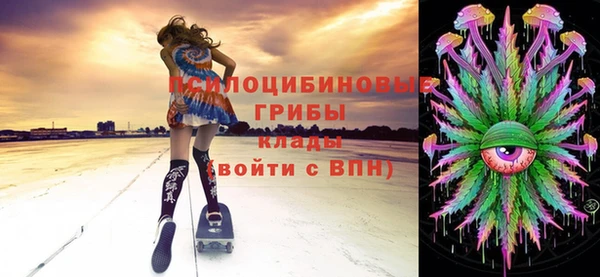 спайс Алзамай