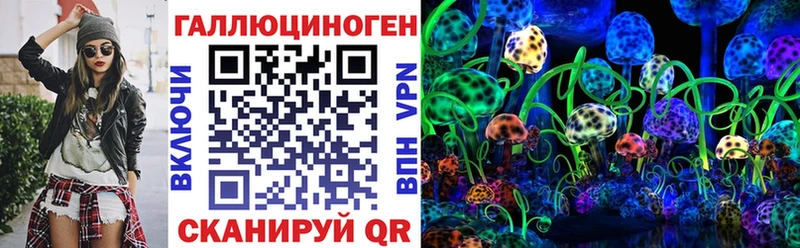 Псилоцибиновые грибы Psilocybe  Торопец 